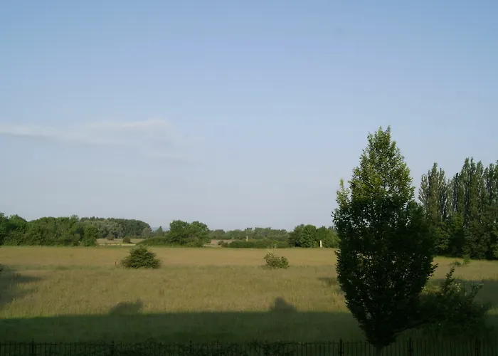 廉价世博青旅 旅馆 *